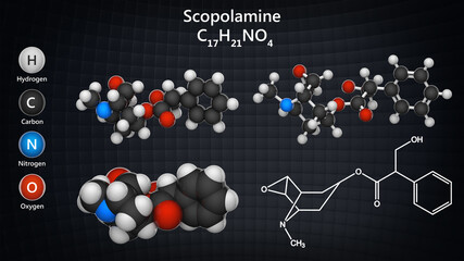 Scopolamine, also known as Hyoscine, is a medication used to treat motion sickness. Formula: C17H21NO4 Chemical structure model: Ball and Stick + Balls + Space-Filling. 3D illustration. 