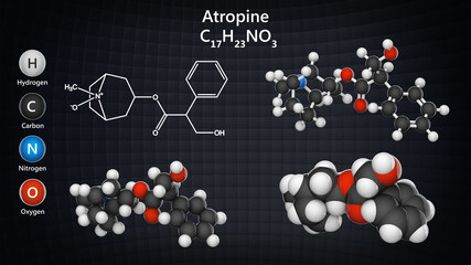 Atropine (Atropen) is a medication used to treat certain types of nerve agent. C17H23NO3. Chemical structure model: Ball and Stick + Balls + Space-Filling. 3D illustration. 