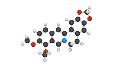 Berberine is a quaternary ammonium salt of an isoquinoline alkaloid and found in such plants as Berberis. Formula: C20H18NO4+. Chemical structure model: Ball and Stick. 3D illustration. 