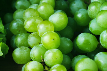 Green grapes on wooden background. Frash fruit. Healfy food. Close up of green grapes. Macro