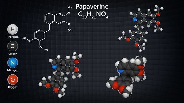 Papaverine (Papaverin) is an opium alkaloid antispasmodic drug. Formula: C20H21NO4. Chemical structure model: Ball and Stick + Balls + Space-Filling. 3D illustration. 