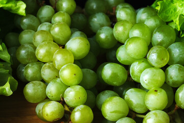 Green grapes on wooden background. Frash fruit. Healfy food. Close up of green grapes. Macro