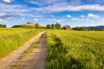 Panoramic view of the fields of the Osona Valley in the month of May with growing wheat crops, their green tones enrich the spring landscape sautéed with rural farmhouses. Malla, Catalonia, Spain