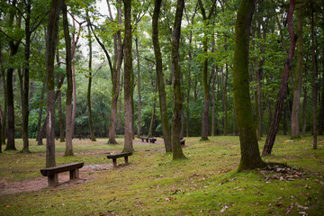 South Korea, attractions, architecture and parks of Suwon City