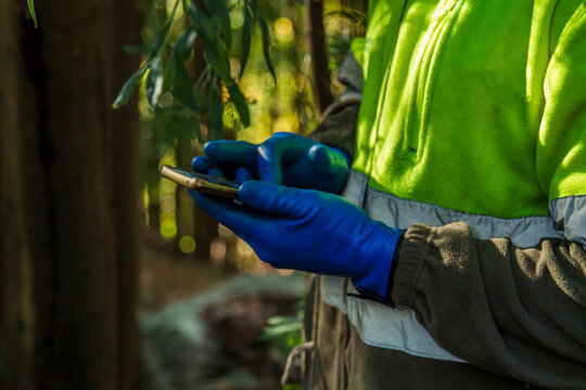 forest worker using smartphone in the forest - Powered by Adobe