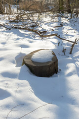 snow on a cutted tree in the forest