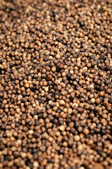 close-up of kampot pepper peppercorns drying in cambodia