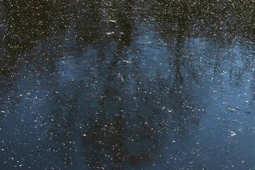 Frozen lake on a sunny winter day at the park
