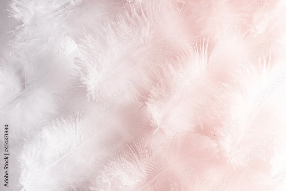 Poster Beatyful and very light airy pink background image based on macro photo of bird feathers.