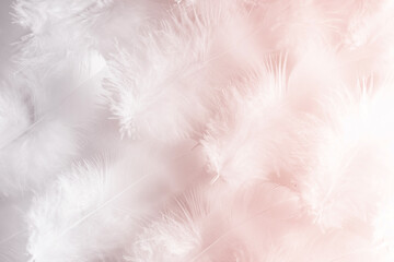 Beatyful and very light airy pink background image based on macro photo of bird feathers.