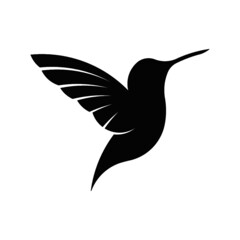 Colibrí hummingbird logo golden ratio