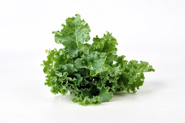 Green curly leaf kale on white background.