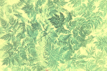 green vintage background leaves grass / abstract unusual background vintage look