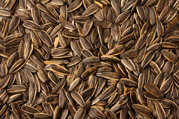 Top view of Sunflower seeds on flat lay, background and texture, close up.