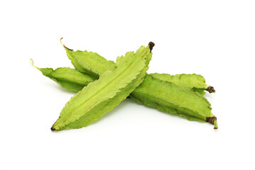 Winged Bean isolated on a white background.