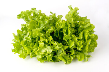 Fototapeta na wymiar Green oak salad on a white background.