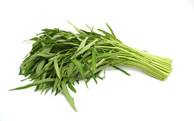 Pile of Chinese morning glory isolated on a white background. (Water Convolvulus, Kang-Kong, water spinach)
