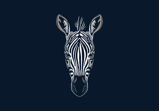Zebra head illustration, vector, hand drawn, isolated on black background, african animal