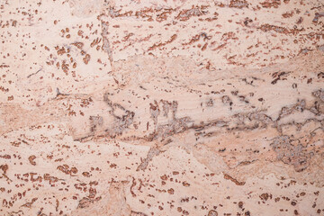 Close-up background and texture of cork board wood surface