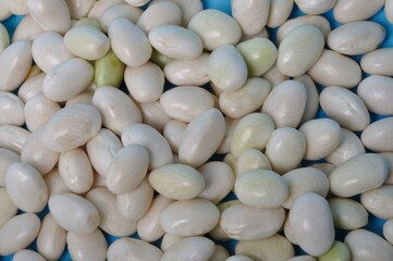 Coco paimpolais bean on a blue background