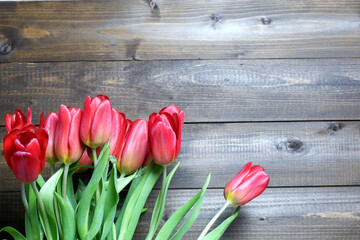 Spring flower backround. Several red fresh tulips on dark brown wooden planks background with copyspace. Holiday, Womens, spring, love, romantic, flowers, garden, Easter card, banner, header template