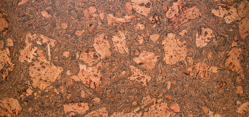 Closed up of panoramic brown cork board texture for banner background.