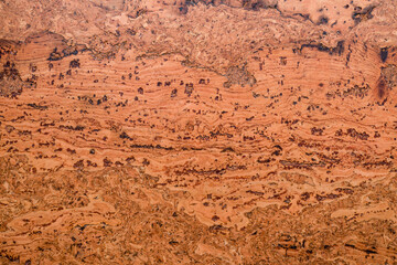 Brown cork board background texture