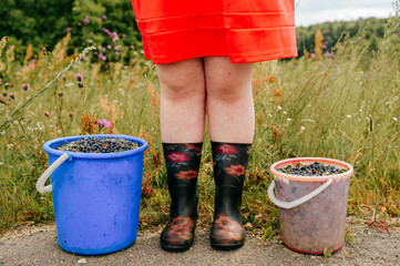 portrait of legs in the countryside
