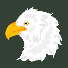 Hand drawn abstract portrait of an eagle. Vector stylized colorful illustration for tattoo, logo, wall decor, T-shirt print design or outwear. This drawing would be nice to make on the fabric, canvas.