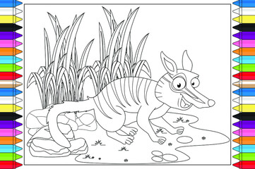 coloring numbat animal cartoon for kids