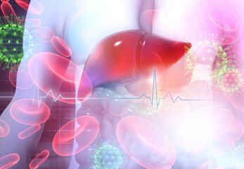 Human liver anatomy scientific Background. 3d illustration.
