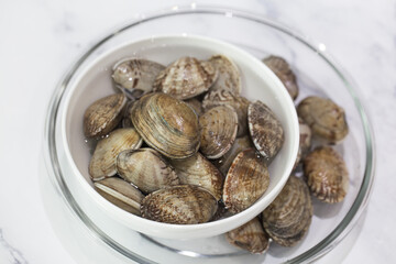 Fresh raw Surf clam on a white background.