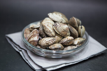 Fresh raw Surf clam on a black background.