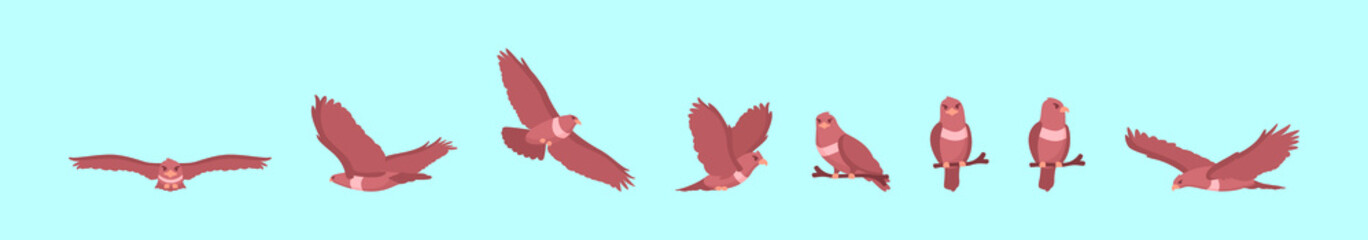 Fototapeta na wymiar set of buzzard birds cartoon icon design template with various models. vector illustration isolated on blue background