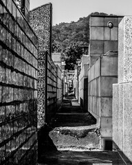 corridor in the cemetery