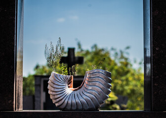 view through the window