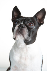 Hier die Ueberschrift nochmal