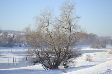 Panorama of the frozen backwater, Danube in December 2012.