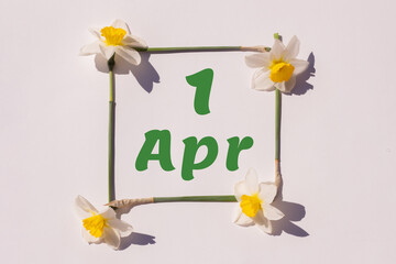 April 1rd. Day 1 of month, calendar date. Frame from flowers of a narcissus on a light background, pattern. View from above. Spring month, day of the year concept