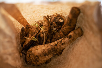 Bio Pastinaken frisch vom Markt in einer braunen Papiert&uuml;te, Close-Up