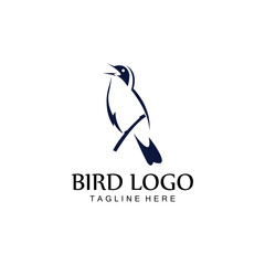 Fototapeta premium bird logo vector icon design template