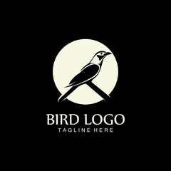 bird logo vector icon design template