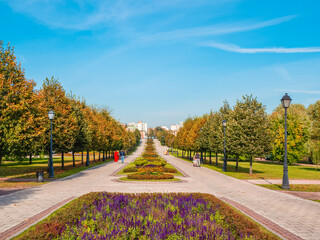 Flower shady alley in the summer park.