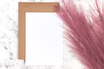 Pampas grass, blank card and envelope on white marble background. Minimal business brand template. Flat lay, top view