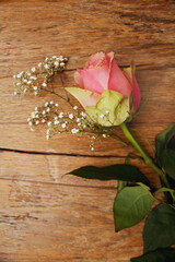 Rosa Rose mit Schleierkraut auf Holz