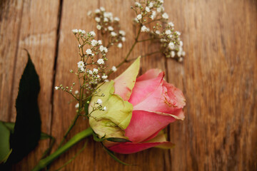 Rosa Rose mit Schleierkraut auf Holz