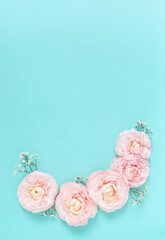 Pink ranunculus flowers on light blue background. Holiday, greetings, love, romantic concept. Flat lay, copy space