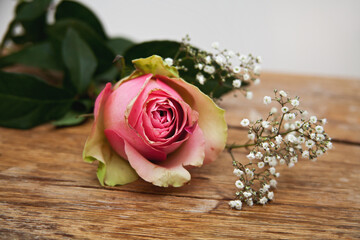 Rosa Rose mit Schleierkraut auf Holz