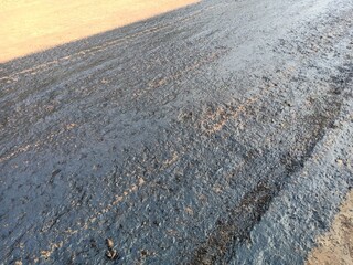 Tire spraying for road construction