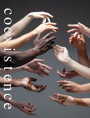 Art, lettering. African and caucasian hands gesturing on gray studio background. Tolerance and...